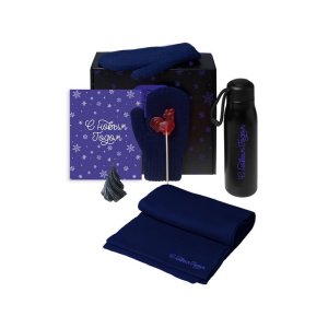 Подарочный набор с варежками, шарфом и термосом, темно-синий Подарочный набор с варежками, шарфом и термосом, темно-синий