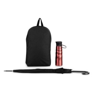 Подарочный набор с бутылкой для воды, зонтом и рюкзаком Water element , красный Подарочный набор с бутылкой для воды, зонтом и рюкзаком Water element , красный