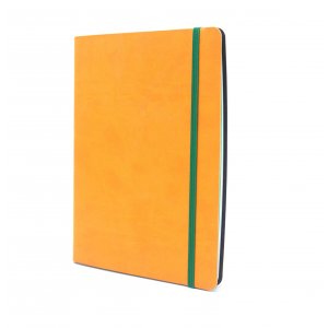 Блокнот (линейка+клетка) BiColor 15,5х21 с резинкой 2659.89