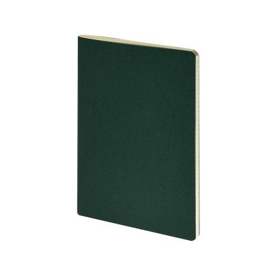 Бизнес-тетрадь А4 Pragmatic,  40л., клетка, зеленый