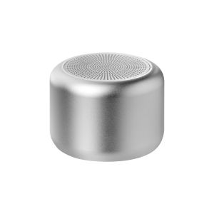 Беспроводная колонка Passion 80dB 600 mAh (Bluetooth 5.0), серебряная