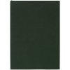 Ежедневник Flat Light, недатированный, зеленый Ежедневник Flat Light, недатированный, зеленый