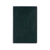 Ежедневник недатированный А5 Megapolis Nebraska Flex, зеленый с золотым обрезом