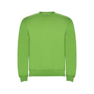 Свитшот с начесом Clasica детский, зеленое яблоко