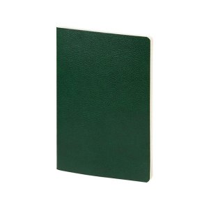 Бизнес-тетрадь А5 Megapolis Loft Flex 60 л., линейка, зеленый