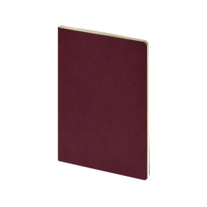 Бизнес тетрадь А5 Pragmatic, 40 листов в клетку, бордовый