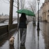 Зонт-трость Arwood, тёмно-зелёный