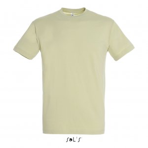 Фуфайка (футболка) REGENT мужская,Зеленый шалфей S