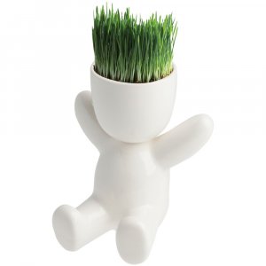 Набор для выращивания Funky Kid Набор для выращивания Funky Kid