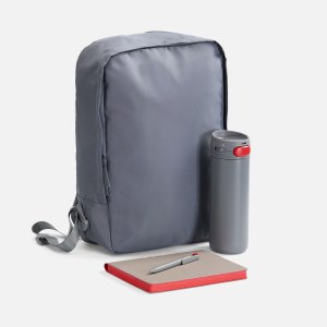 Набор Flexpen Travel, серый с красным