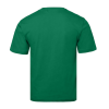 Футболка STAN, хлопок 160, 301, Зелёный