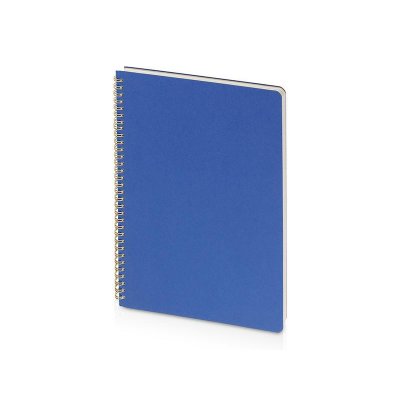 Бизнес тетрадь на гребне А4 Pragmatic, 100 листов в клетку, синий