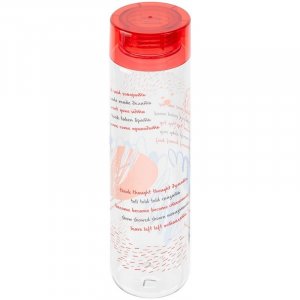Бутылка для воды «Шпаргалка. Неправильные глаголы», прозрачная с красной крышкой