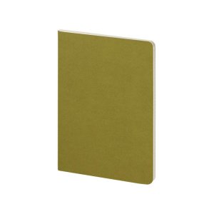 Бизнес тетрадь А5 Pragmatic, 40 листов в клетку, зеленый хаки