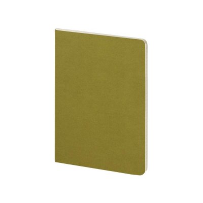 Бизнес тетрадь А5 Pragmatic, 40 листов в клетку, зеленый хаки