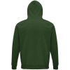 Толстовка унисекс Stellar, темно-зеленая