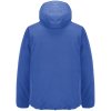 Куртка софтшелл с капюшоном мужская Falcon Men, ярко-синяя (royal)