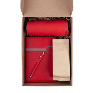 Набор "Команда", цвет красный