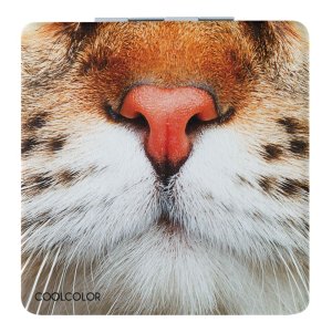 Зеркало «Кис-Kiss», квадратное Зеркало «Кис-Kiss», квадратное