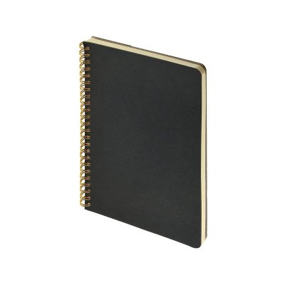 Бизнес тетрадь на гребне А5 Pragmatic, 60 листов в клетку, черный